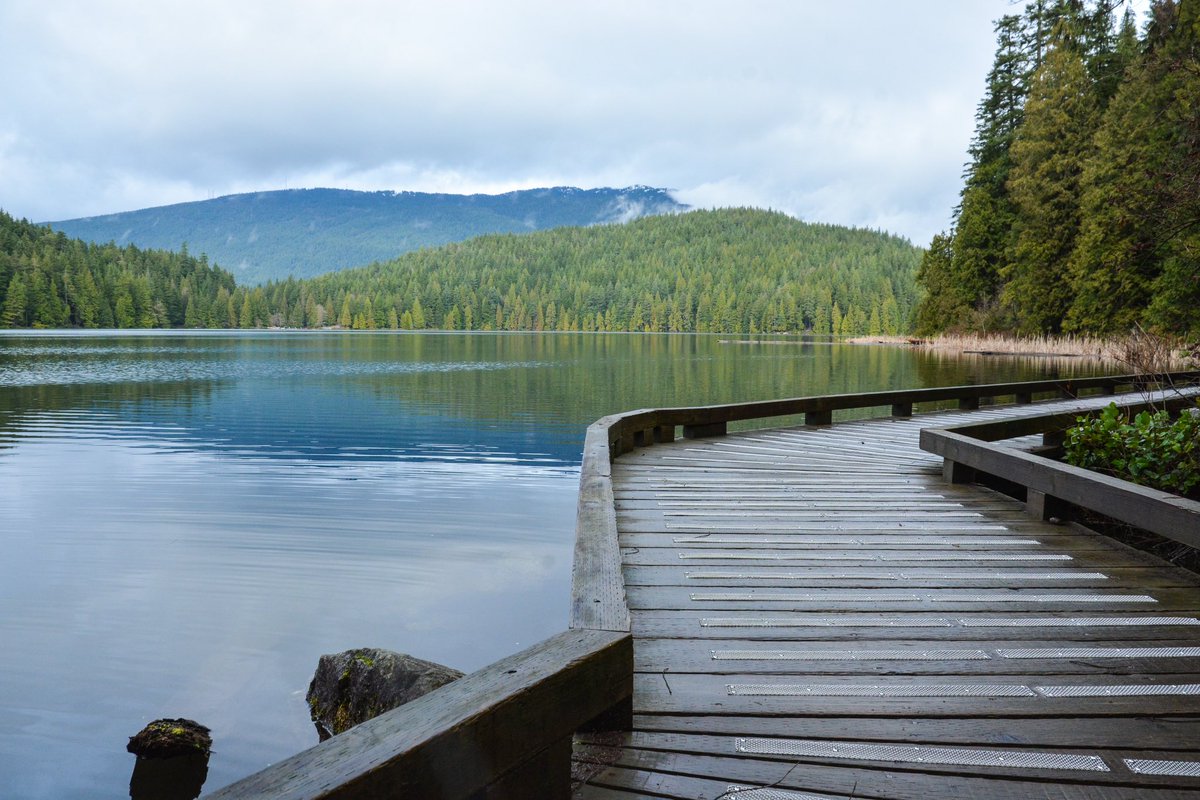 Hike 23 of 55 features this lovely boardwalk. 

(səlilwətaɬ territory)

📚🧭🥾 105hikes.com/besthikes/

#BestHikesWithKidsBC