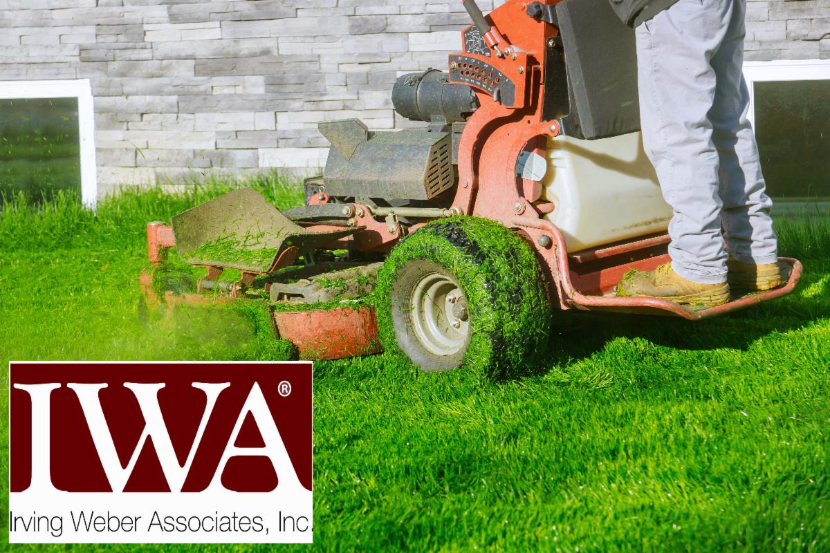 IrvingWeberAsso's tweet photo. Insurance Agents:  Contact IWA for landscapers through admitted, A-Rated carriers.  No Agency Appointment is needed.  Check us out – https://t.co/AZOgWjQy63
#insurance, #landscaperinsurance, #insuranceprogram, #landscaper
https://t.co/xWe6yTsuZ6 https://t.co/sR40KaiOlX