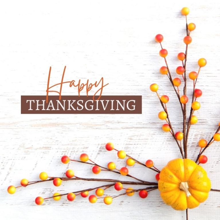 RitualWaters's tweet photo. Wishing you all a happy and safe thanksgiving!

I am grateful for so many things- birdsong in  the morning- my cats that keep me company - my family which I love and hold close- blue skies and sunshine- my wonderful friends that keep me laughing - my wonderful customers and me st https://t.co/DUlnWSwdvz