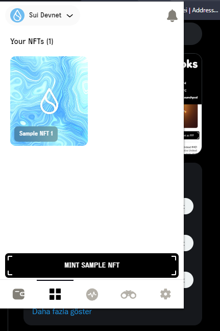 physicsofcoins's tweet photo. I have a great news. You can use @SuiNetwork on your @martian_wallet wallet. I minted my first NFT on #suidevnet @bycoinhunter @vemutlu @thearreatsummit 

#Martian #Sui #Aptos and #Move https://t.co/K9O0co8eii