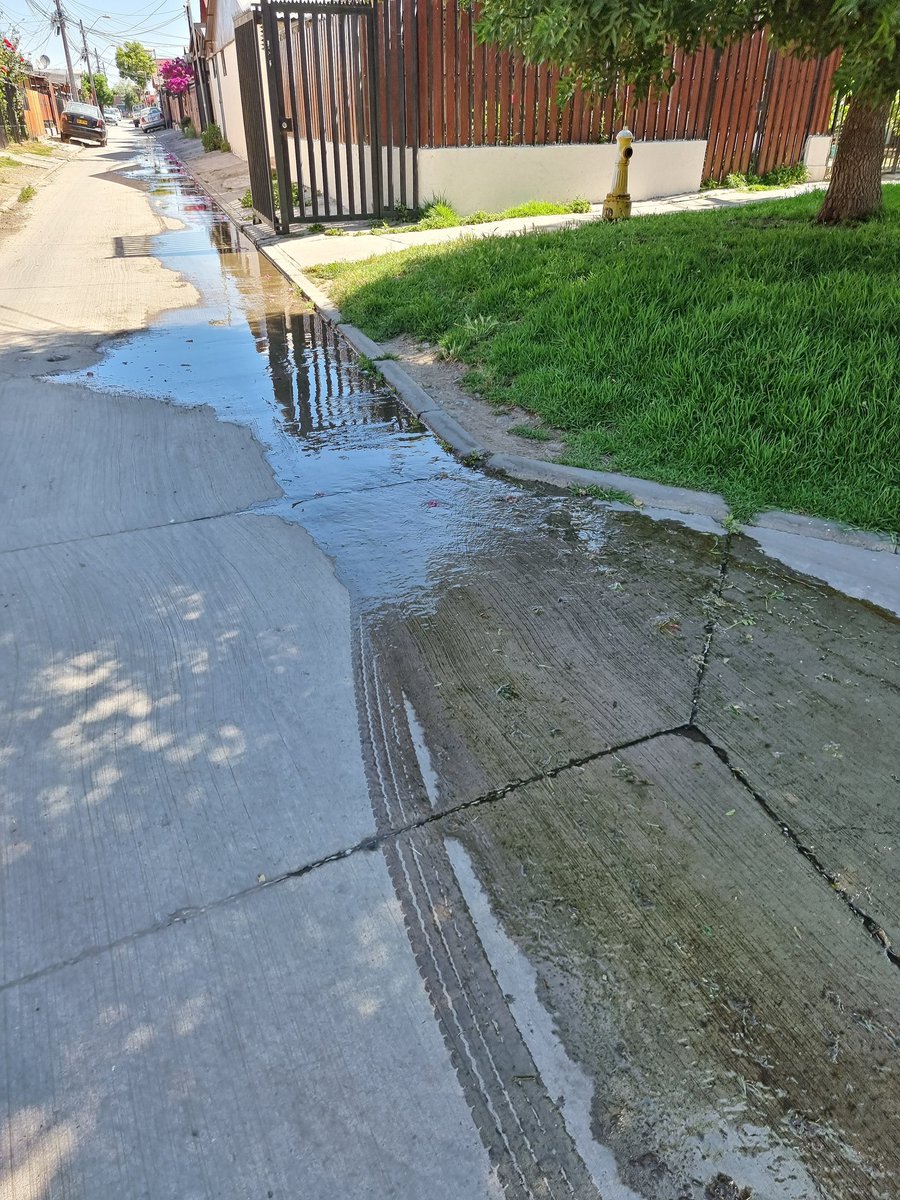 rodrig0hsr's tweet photo. @Reclamos_SMAPA se han hecho reclamos desde Febrero del 2022 y aún no hay arreglos. Ahora es un Rio y perdida de agua https://t.co/F3LcQeBaUw