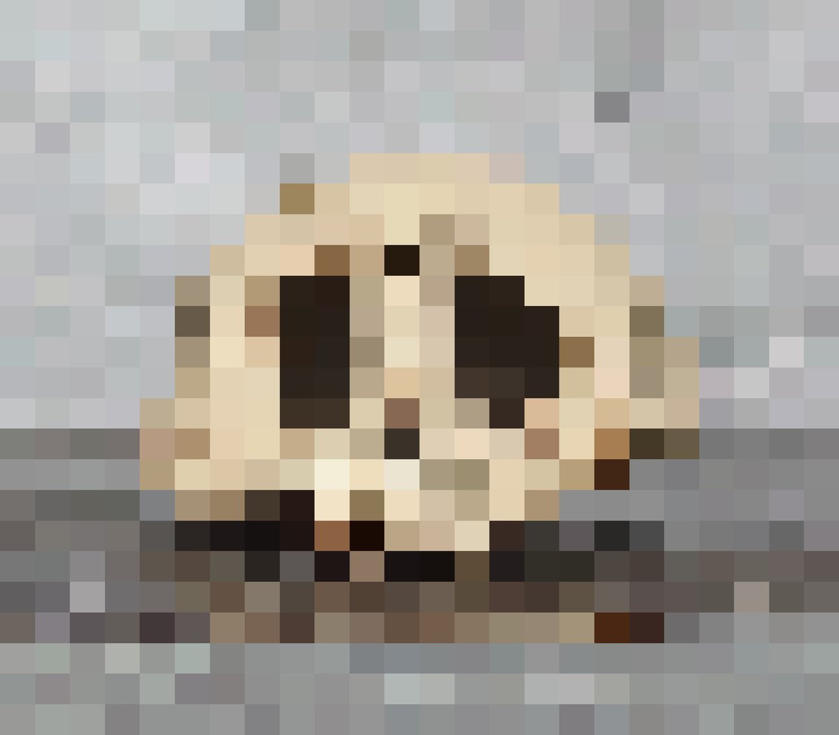 Skull X1

24x24 pixel art on #8bidou

10/10
1 $xtz

8bidou.com/r_item/?id=1543

objkt.com/asset/8bidou-2…

#pixelart #Tezos