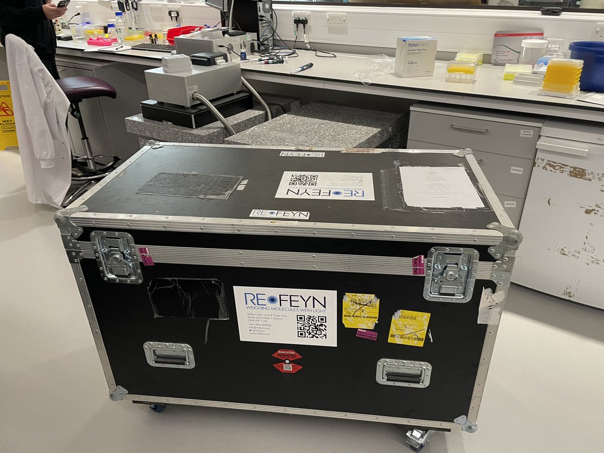 Weston Struwe tweet media