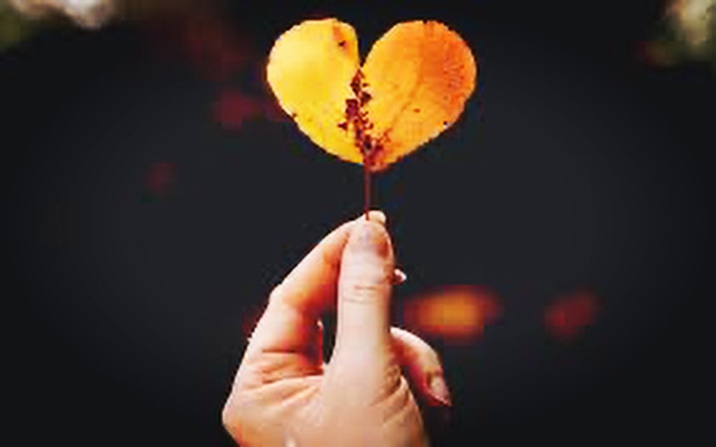 Educated Flea tweet media