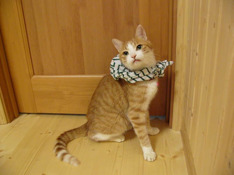 fast_3g_bot's tweet photo. @mr04023310 https://t.co/jd9KjuZWNr
