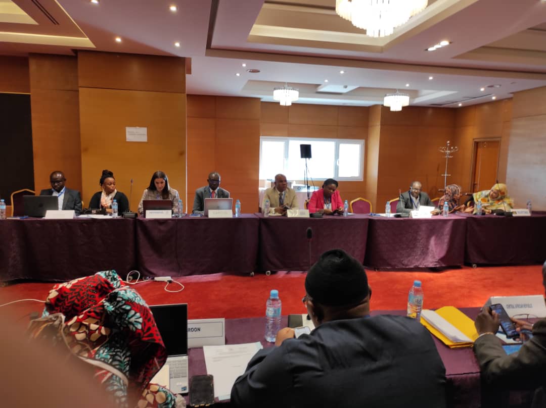 In order to strengthen capacities of police agencies of AU member states on border management and cooperation in prevention and fight against cross-border crime, AFRIPOL organized planning workshop for 1st AFRIPOL’s cross-border operation, 21-22 November 2022, in Algiers.