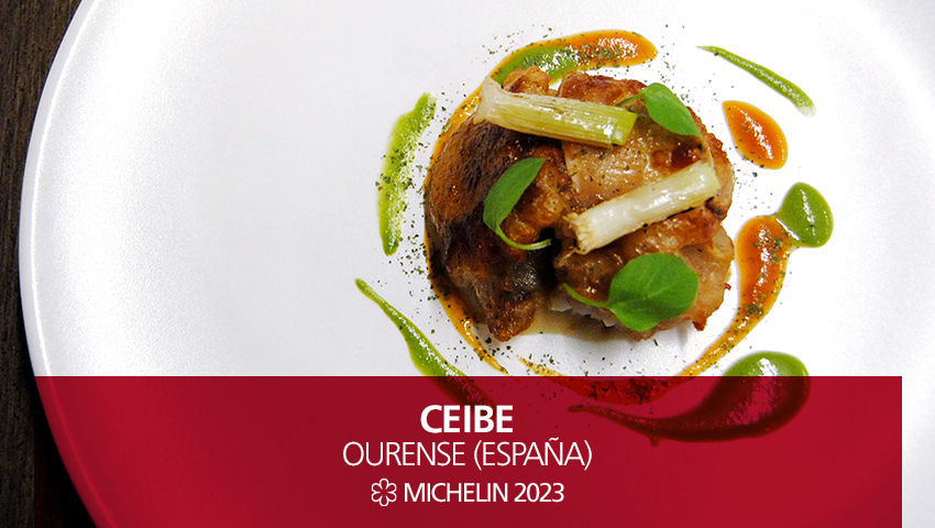 GuiaMichelin_ES tweet picture