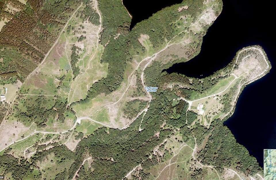 Da man de Dryopteris Guanchica, imos contar como están a destruír as Fragas do Eume dun xeito planificado e consciente

Ides alucinar un pouquiño. Só pregamos difusión.

Abrimos fío👇