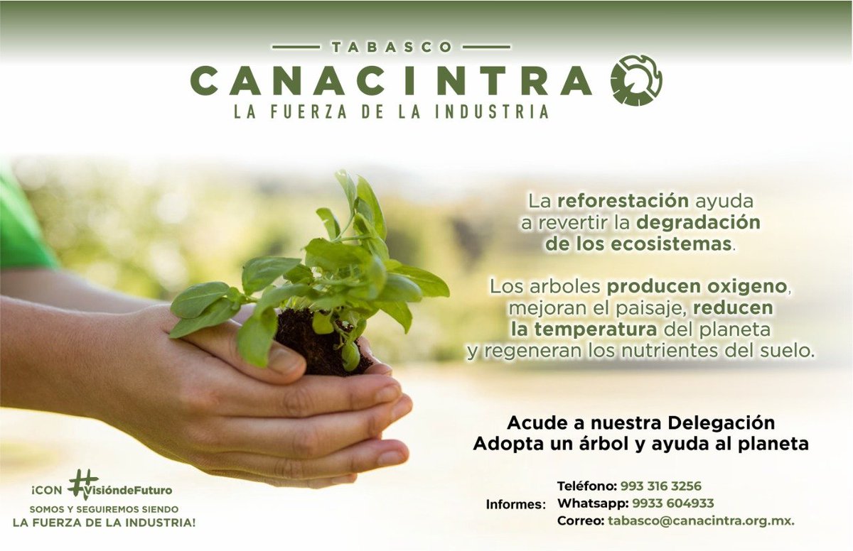 JóvenesIndustrialesTabasco tweet media