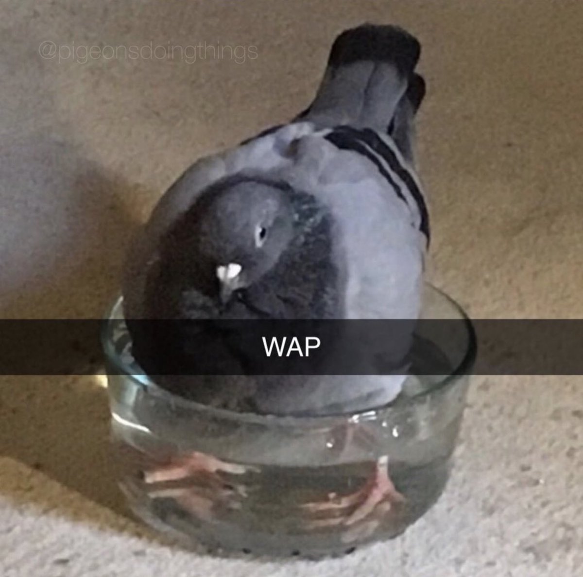 2 year anniversary of my first post to get 10 million likes on instagram