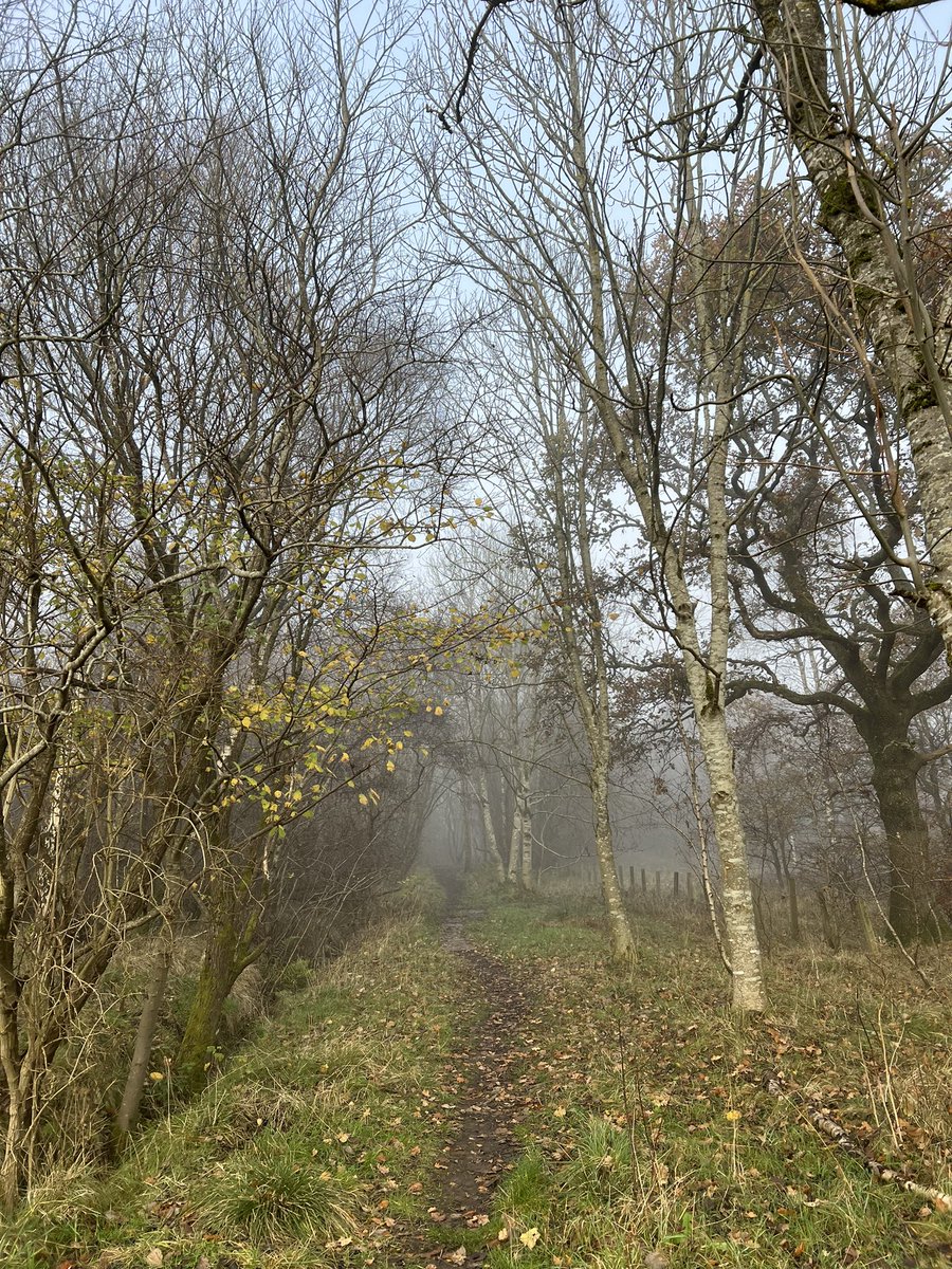 karenlreyburn's tweet photo. I love a misty, foggy November walk
#walkswithkaren #scotlandwalks https://t.co/ihHZvH2f1r