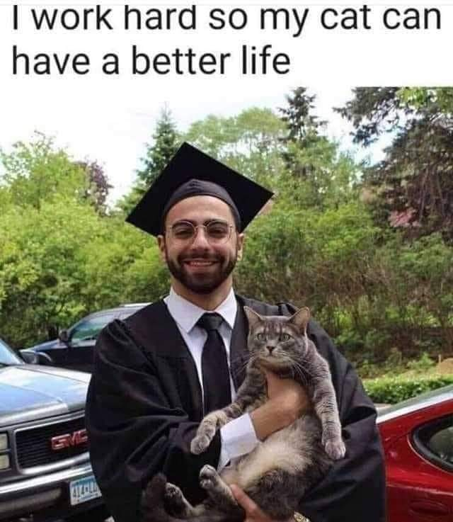 WholesomeMeme's tweet photo. https://t.co/MWC56GQGnv