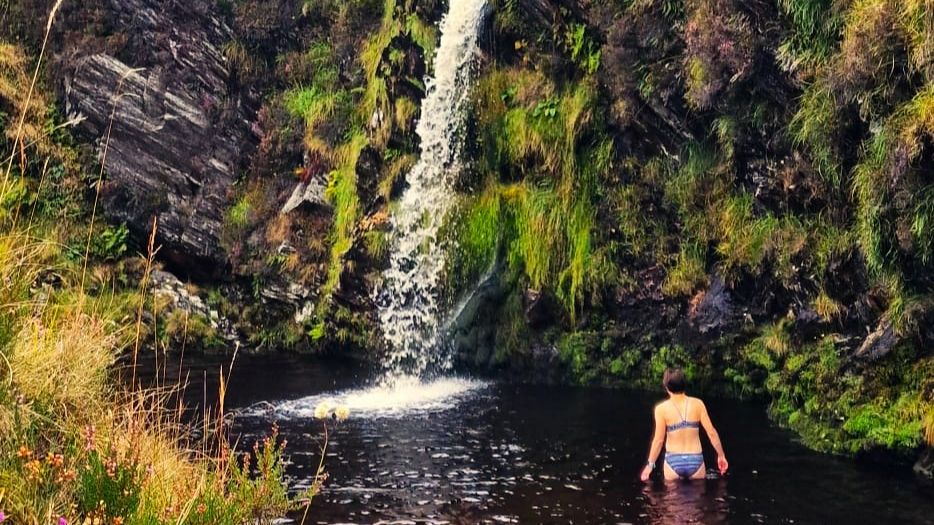 The Forge Corwen tweet media