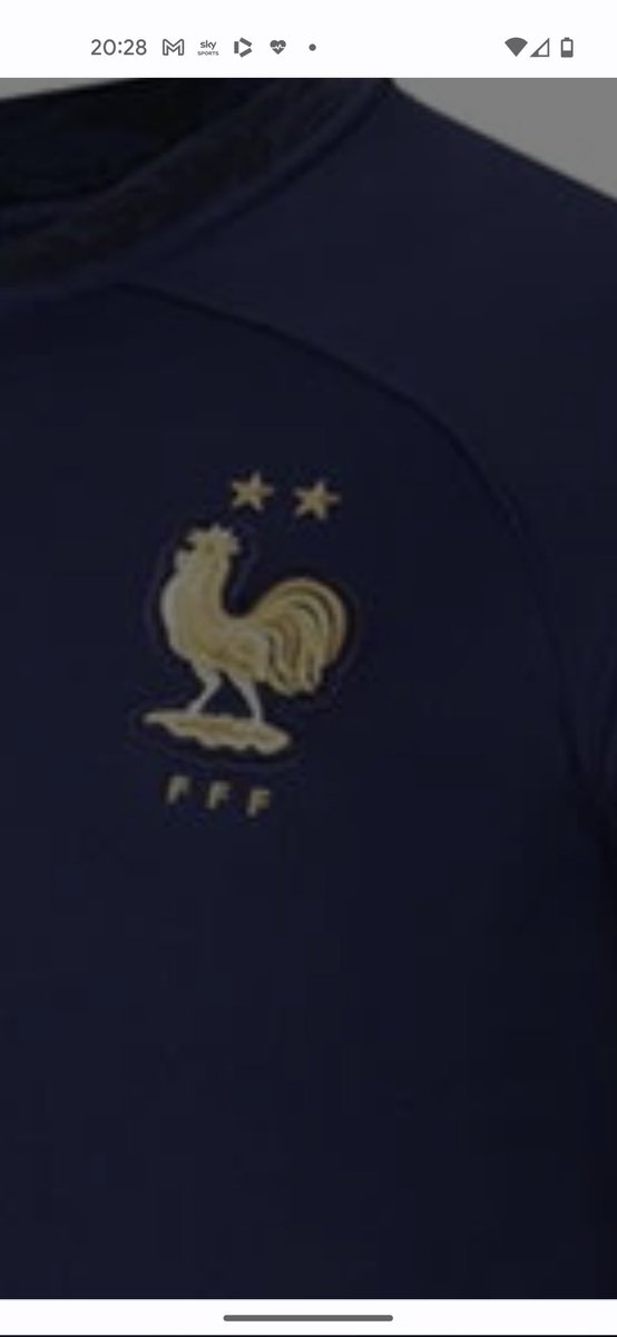 France #Worlds2022 shirt confidently expecting their 3rd World Cup