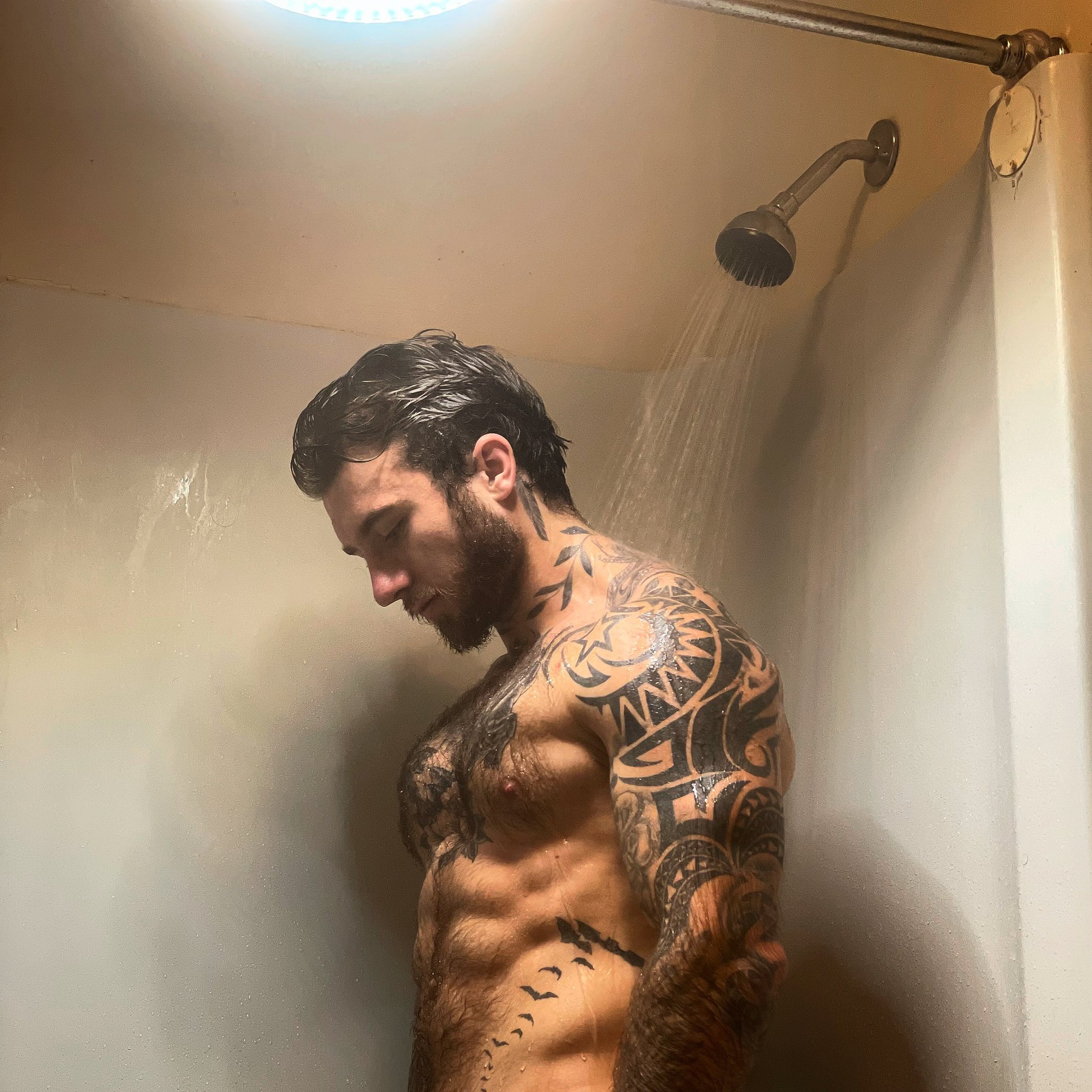 Ricky Dilaurentis ™️ on Twitter: "Only half the photo downloaded can