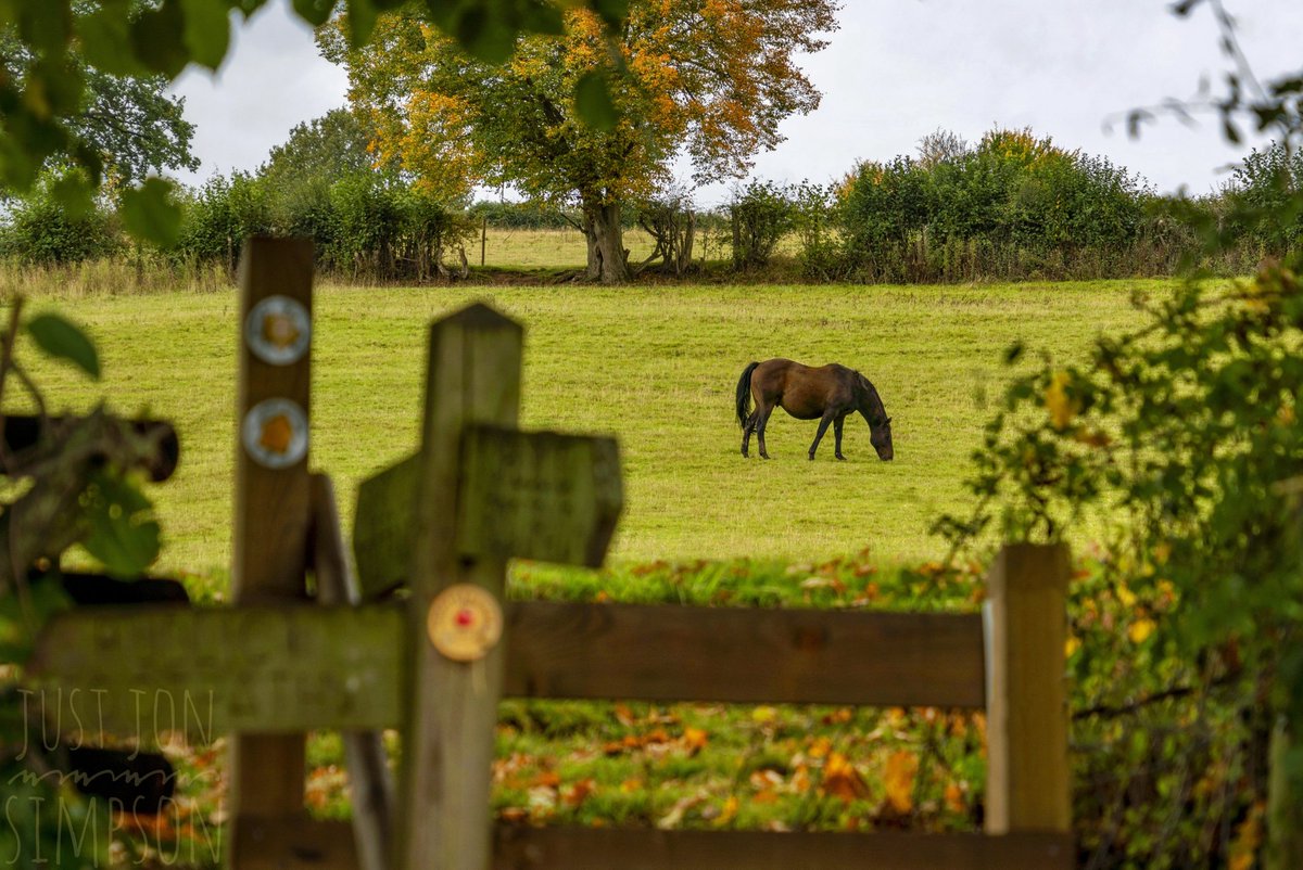 Sitting in the beautiful #GoldenValley countryside #DoreAbbey is a former Cistercian abbey in #AbbeyDore. Among many impressive features is a rood screen carved by "King's Carpenter" John Abel &amp; incorporating the arms of Viscount Scudamore, Archbishop Laud and King Charles I