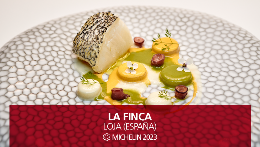 Nuevo 1 #EstrellasMICHELIN #GuiaMICHELIN2023: #LaFinca, Loja.
En #LaBobadillaARoyalHideawayHotel el chef Fernando Arjona, tutelado por el laureado Pablo Gonzalez (<a href="/pabloglacabana/">Cabaña Buenavista Pablo González</a>), nos seduce con unos platos que actualizan la tradición local.
#MICHELINSTAR23 #GUIAMICHELINESPT