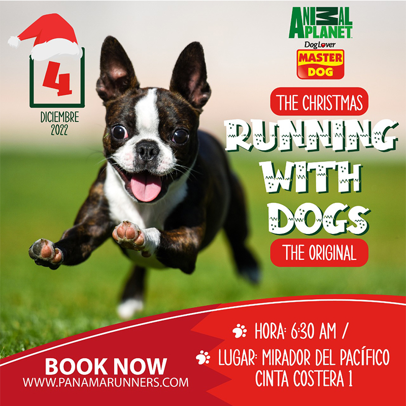 panamarunners.com/registro/onlin…