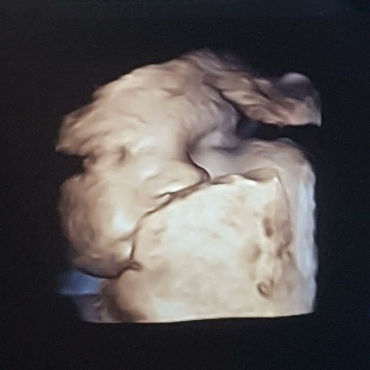 Eleonora Anna Giorgi tweet media