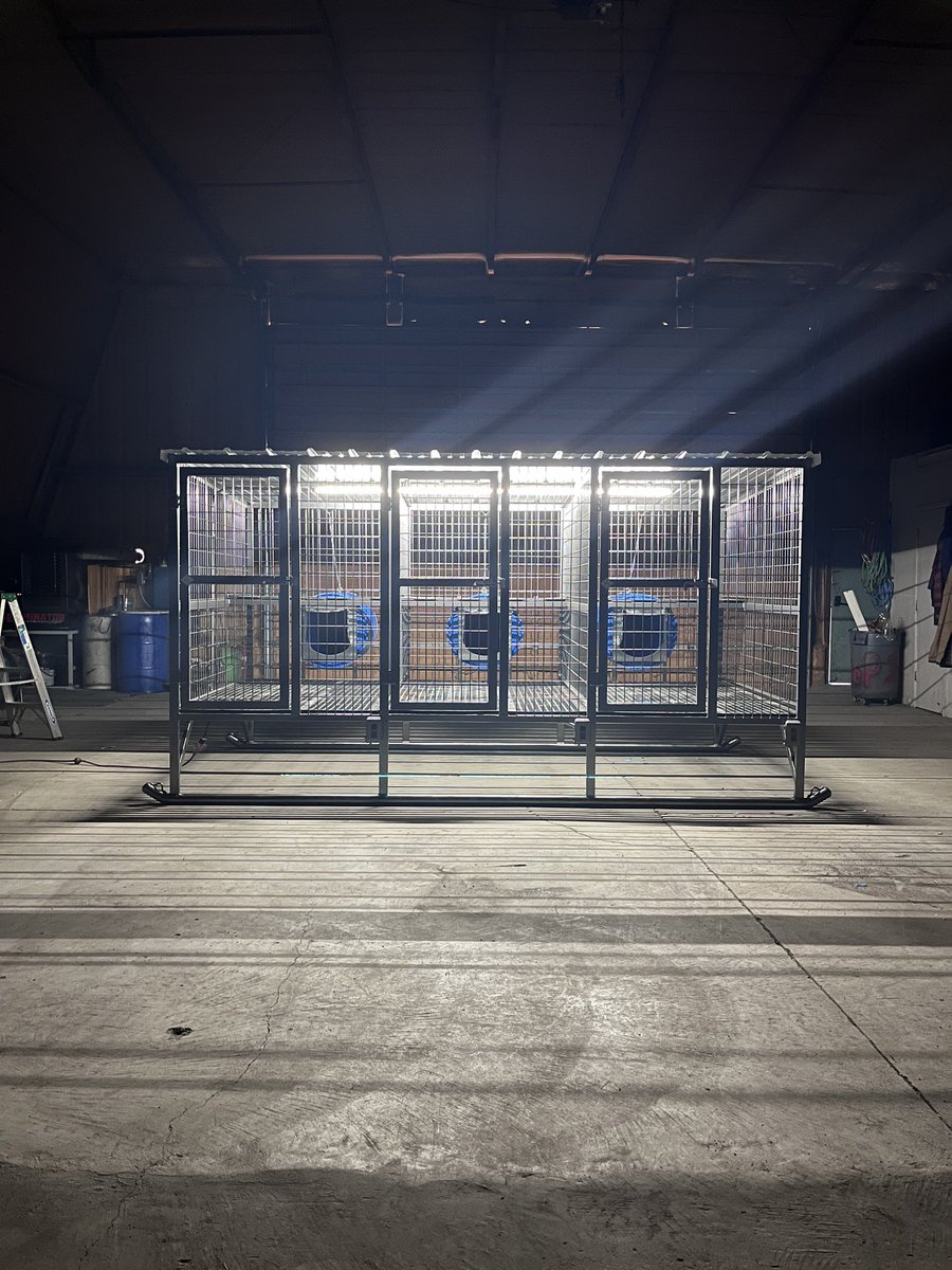 therealEEfab's tweet photo. A slick unit we finished!
#gundogs #workingdogs #stockdogs #hounds #malinois #bordercollies #mcnabs #catahoula #elevatedkennels #customkennels #doghouse #dogpen #kennel #madeinamerica #smallbusiness #welding #whelpingkennels #outdoorkennels #thepridedogfood #dogfood #birddog https://t.co/nnSfhrOazu