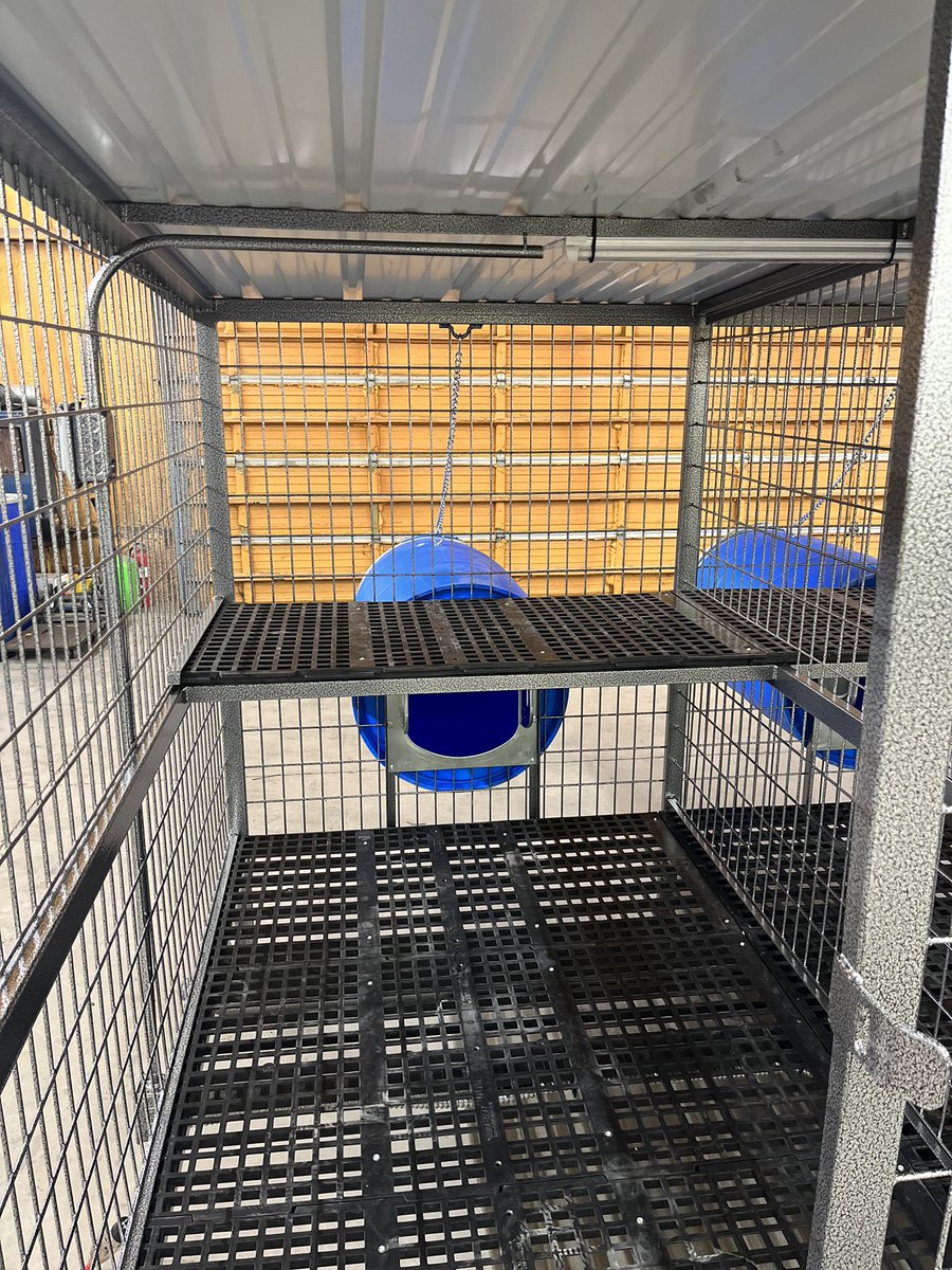 therealEEfab's tweet photo. A slick unit we finished!
#gundogs #workingdogs #stockdogs #hounds #malinois #bordercollies #mcnabs #catahoula #elevatedkennels #customkennels #doghouse #dogpen #kennel #madeinamerica #smallbusiness #welding #whelpingkennels #outdoorkennels #thepridedogfood #dogfood #birddog https://t.co/nnSfhrOazu