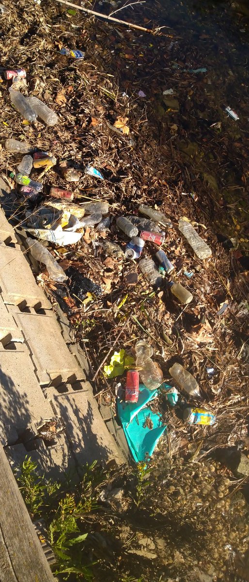 visitmarseille's tweet photo. @Ecologie_Gouv @ChristopheBechu @l_amf En effet besoin d'aide et ouvrir les yeux https://t.co/sfuHXFL49a