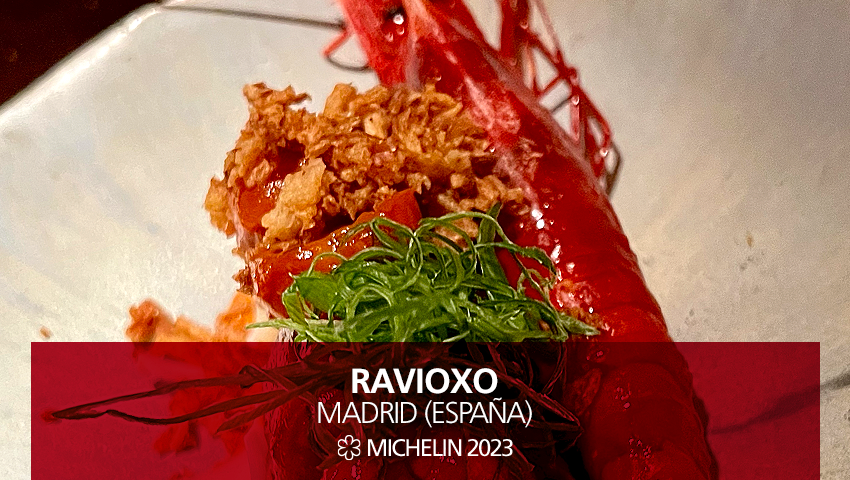 Nuevo 1 #EstrellasMICHELIN #GuiaMICHELIN2023: #RavioXO, Madrid.
El chef Balo Ortiz lleva el timón de la nueva propuesta de <a href="/Dabizdiverxo/">Dabizdiverxo</a>, centrada aquí en el mundo de la pasta y en unos maravillosos dumpling de autor. ¡Trabajo artesanal!
#MICHELINSTAR23 #GUIAMICHELINESPT