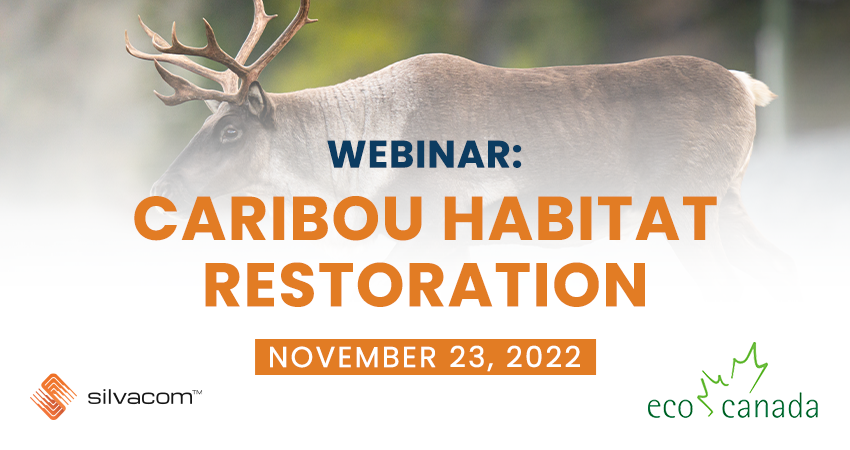 Silvacom's tweet photo. Join us tomorrow from 9:45-11:00 AM (MST) on the @ecocanada platform where our Environment team will discuss:
🔸#Caribou habitat restoration efforts in Alberta
🔸#LinearRestoration-The challenges &amp; opportunities
🔸Past projects

Register: https://t.co/UKyx4pPHzD

#SeismicLines https://t.co/3GKwKvbHm1