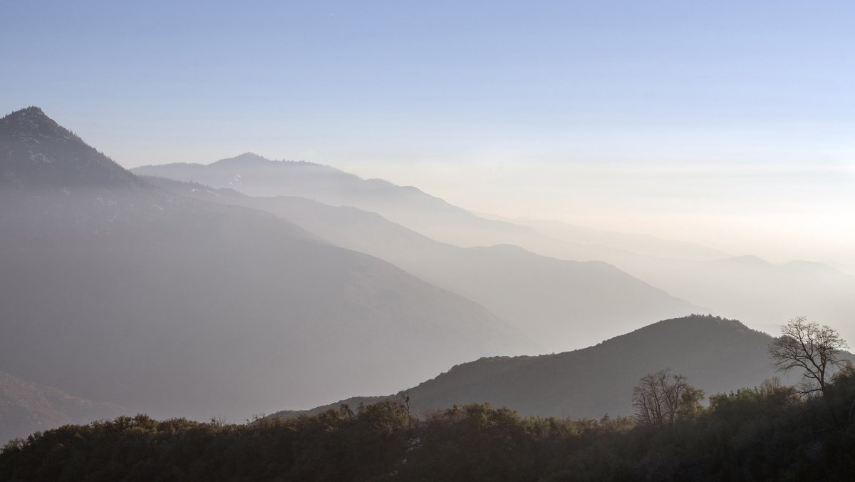 Marshall Scheuttle tweet media