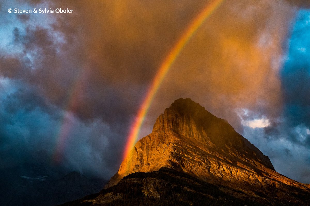 Share the View Photo Contest tweet media