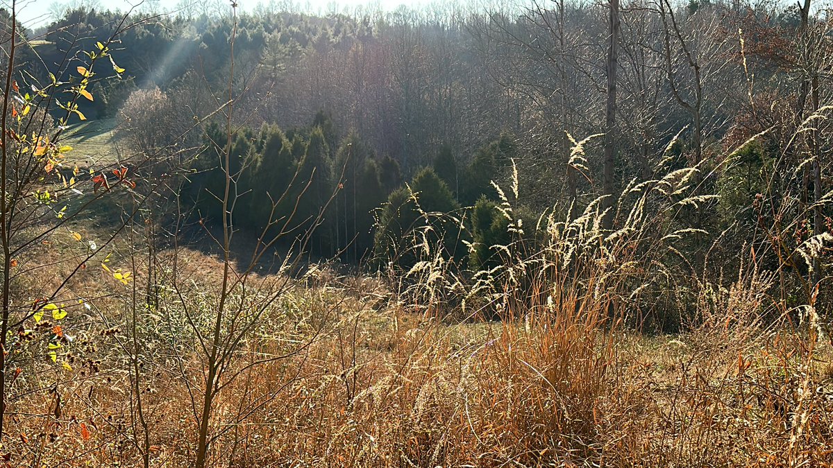 Cody_BrockWX's tweet photo. Enjoying the Nice Outdoors Waiting for a Deer ! #DeerSesson #HuntingSeason https://t.co/Lw2gVPhVEN
