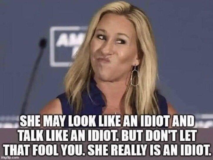 Texas Bear tweet media