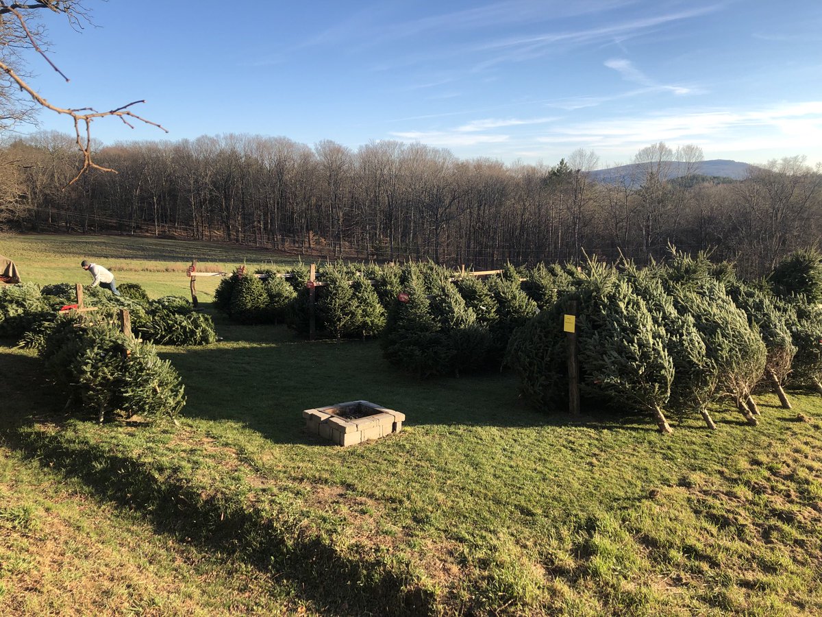 WalkerFarm's tweet photo. Are you ready to rumble?
Our Elysian Hills Tree Farm opening Friday, 11/25 at noon. Wreaths, cut-your-own &amp; pre-cut trees, lots more! https://t.co/dqZIxxcXEY
