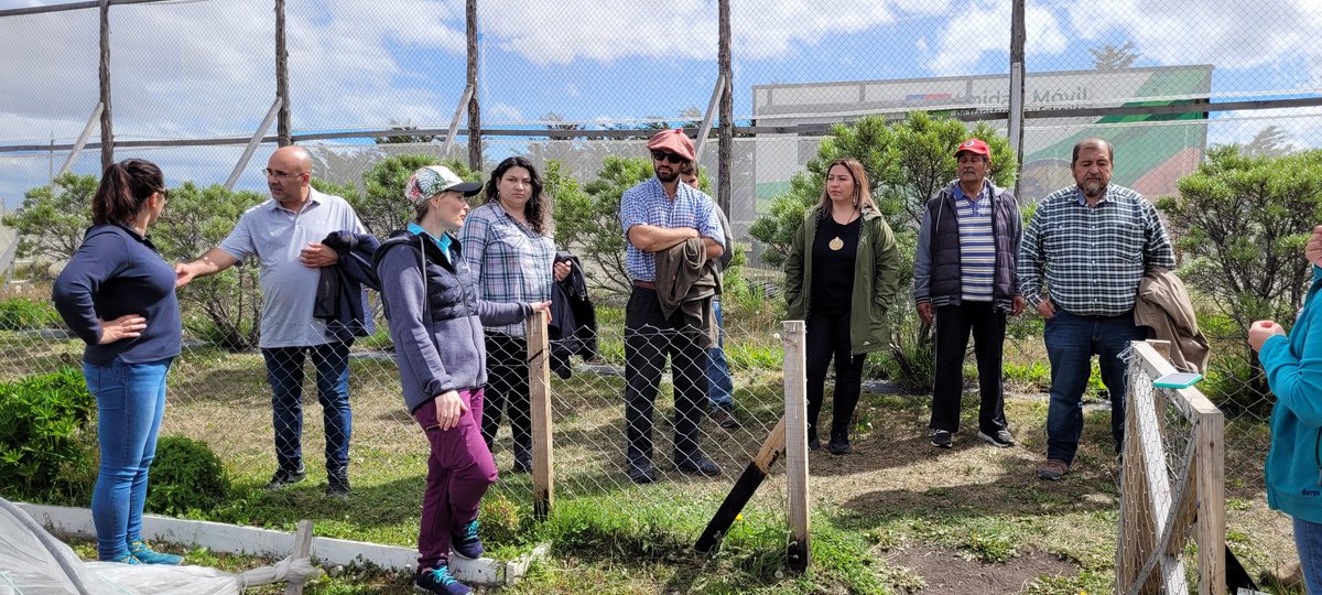 MinagriMagallan's tweet photo. Estamos apoyando el desarrollo rural👨‍👩‍👦🏡🌱🐓, el buen vivir y la soberanía alimentaria con @Inia_Kampenaike 
@subdere_MA #VillaTehuelche #LagunaBlanca https://t.co/jq5WXbovhX