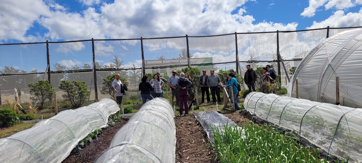 MinagriMagallan's tweet photo. Estamos apoyando el desarrollo rural👨‍👩‍👦🏡🌱🐓, el buen vivir y la soberanía alimentaria con @Inia_Kampenaike 
@subdere_MA #VillaTehuelche #LagunaBlanca https://t.co/jq5WXbovhX