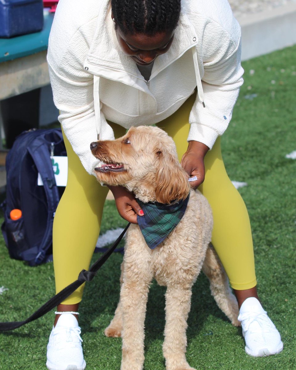 CoachBrittney's tweet photo. Happy Gotcha Day to the bestest boy! ๐ถ๐พ #KobeBeanBryantRandolphSr #Year2 #KawhiYear #JeterYear https://t.co/xolyl3XCA4