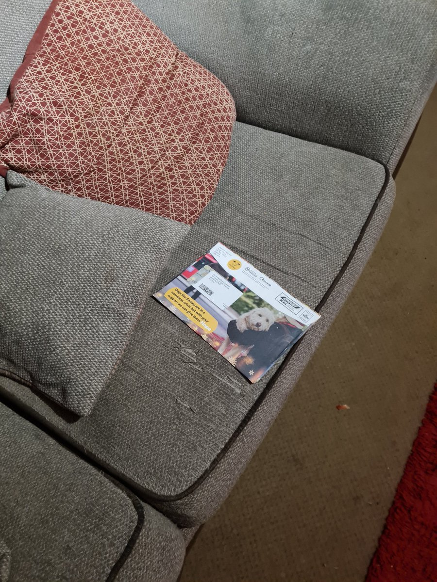 Postie pushed some of da letters for my Dads.  I picked one up to lay on it till my Dad come home.  I is da thoughtfully pupper! <a href="/DT_Merseyside/">Dogs Trust Merseyside</a> <a href="/DogsTrust/">Dogs Trust 💛🐶</a> <a href="/scouseleder/">Martin Sandland-Owens</a> <a href="/ScouseB/">Stan K. Sandland-Owens</a>