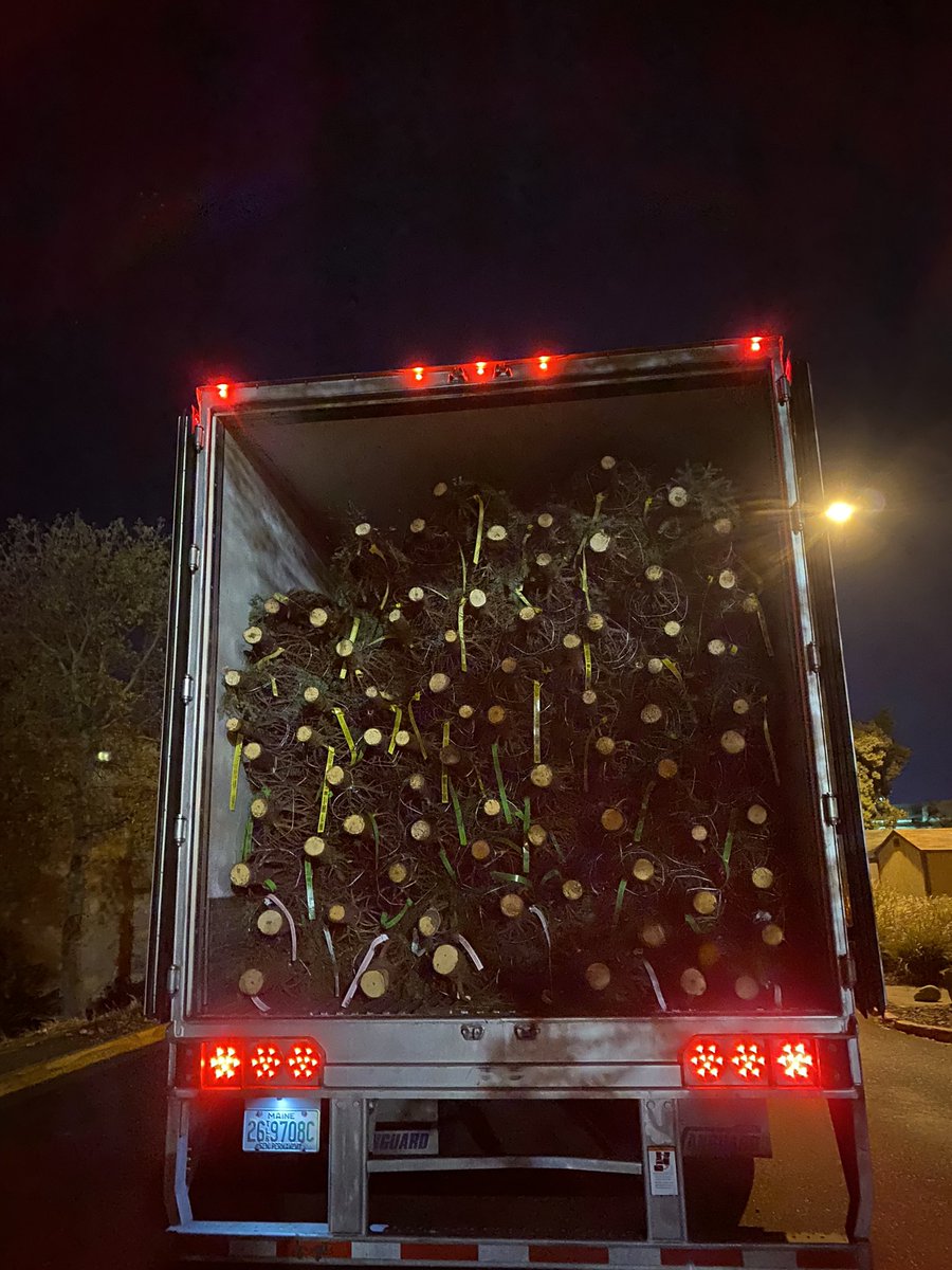 Louie Orozco tweet media