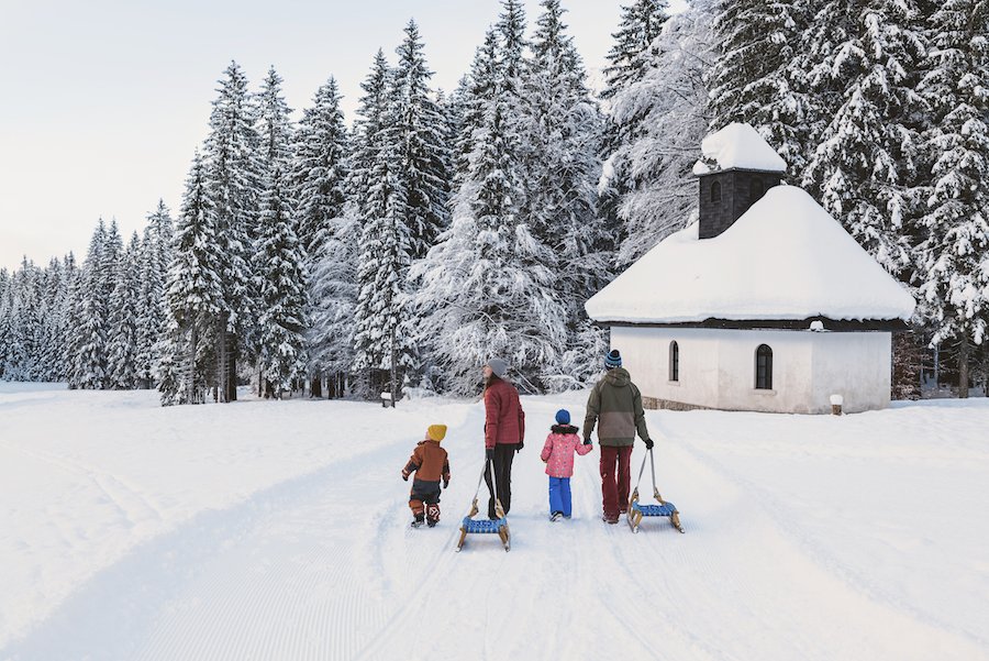 Avete mai pensato di andare a sciare in Slovenia? ⛷Quest’anno avete l’occasione giusta con piste adatte a tutte le difficoltà e divertimento per tutta la famiglia. Andiamo a scoprire insieme la meraviglia dello sci in Slovenia!
👉 bimboinviaggio.com/67365/5-buoni-…