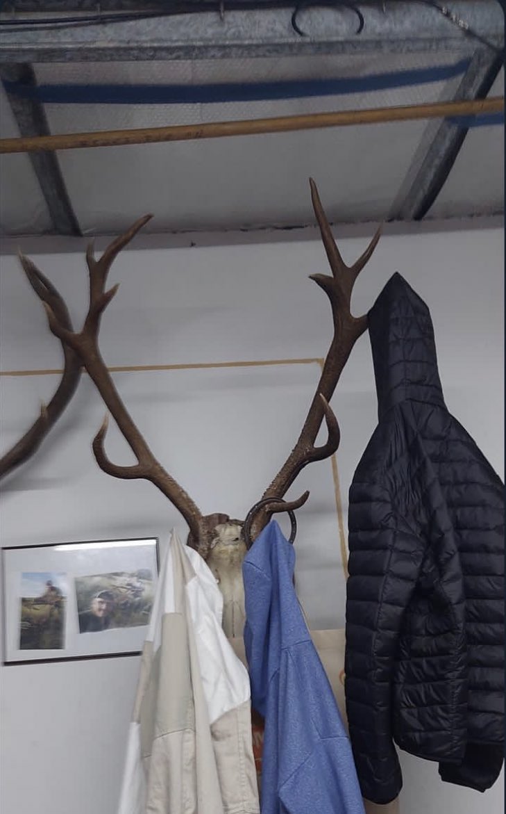 Hasta de perchero me usan