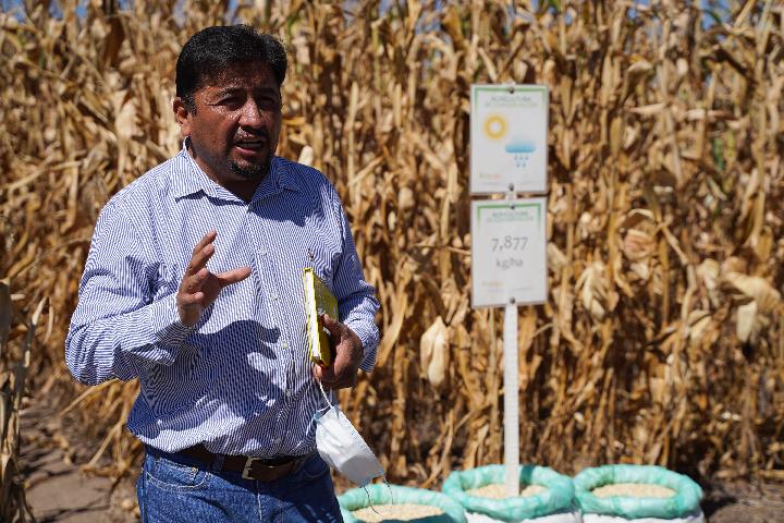 XHespanol's tweet photo. Cooperación recíproca entre #China y el Centro Internacional de Mejoramiento de Maíz y Trigo (@CIMMYTesp), en las afueras de la ciudad de Texcoco, en el centro de #México, salvaguarda seguridad alimentaria https://t.co/B8DtaKq15O
#futurocompartido https://t.co/0Pn1RdilD7