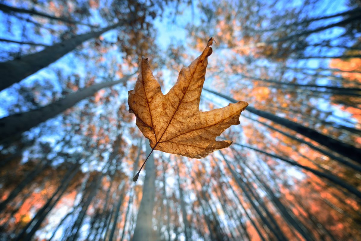 Erfan 📸🎞️🎥 🕊️ tweet media