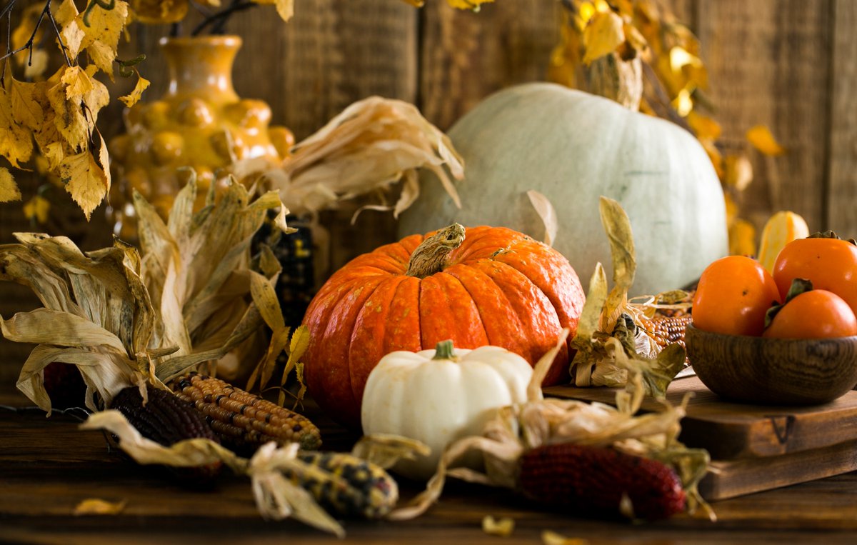From all of us at JKF Americas, Happy Thanksgiving to all of our partners, suppliers and customers in the US. We are truly thankful for each and every one of you!
#automotiveindustry #automotiveaftermarket #industrial