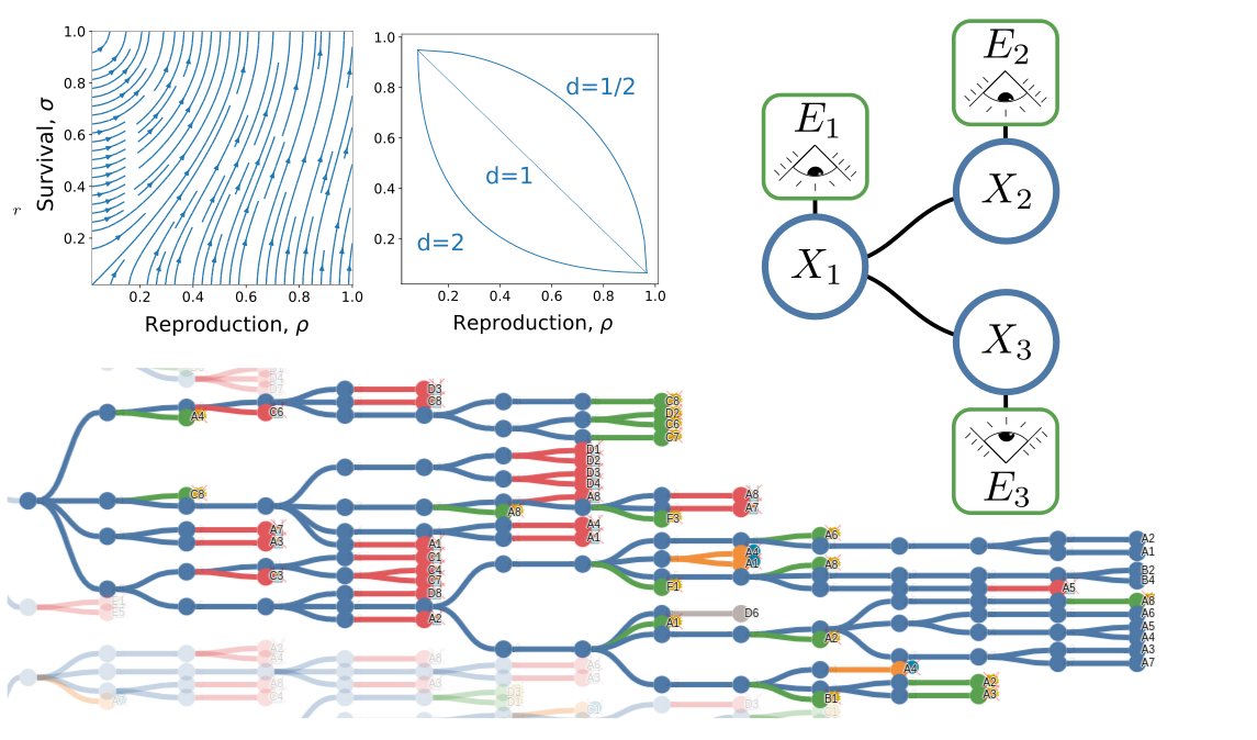 Frozen account of Guilhem Doulcier (@geeklhem) on Twitter photo Tomorrow in the "Microbial communities as units of selection" session at  #EcologyMetz2022 (14h30) I will be talking theoretical and statistical methods for community selection experiments. There will be data viz, adaptive dynamics, and Bayesian networks. Rejoice ! #sfegfoe22 Tomorrow in the "Microbial communities as units of selection" session at  #EcologyMetz2022 (14h30) I will be talking theoretical and statistical methods for community selection experiments. There will be data viz, adaptive dynamics, and Bayesian networks. Rejoice ! #sfegfoe22