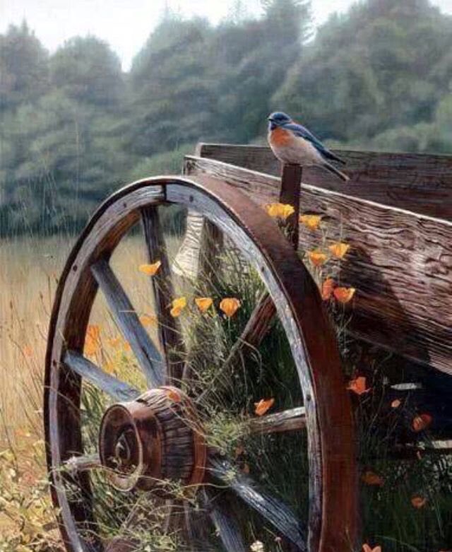 ge_lizzy's tweet photo. “Vive el momento. Sólo éste momento es la vida”.

- Thich Nhat Hahn.

#thichnhathanh

#ViveHoy
#LiveToday
#estarpresente
#bepresent 

#elartedevivir 
#ilartedivivere
#TheArtofLiving https://t.co/h1E49Uxiie