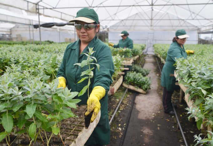 cormachile's tweet photo. 🌱Agenda de género se toma su espacio en la #Expocorma 2022 a través de seminarios sobre los desafíos para reducir las brechas de #género y aumentar la integración de las mujeres en el sector maderero.
+ Info aquí👉 https://t.co/h6gQsaieY4
#ChilePaísdeMadera
@expocorma https://t.co/WhRaSYCjRc
