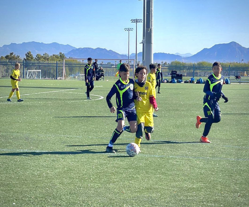 Lion'sDenFútbolClub tweet media