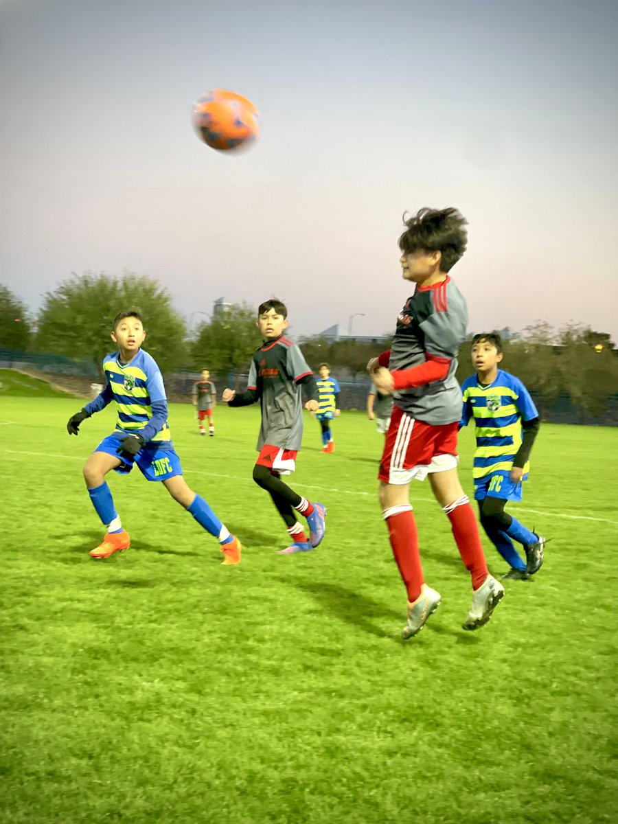 Lion'sDenFútbolClub tweet media