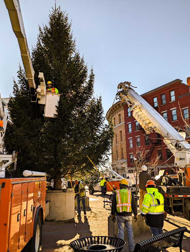 CityofBangorME's tweet photo. Bangor's official 2022 Holiday Tree has finally arrived!
The spruce stands at approximately 40' tall and weighs in at just about 2,000 lbs. It has been strung with over 800’ of lights! https://t.co/64MC0GVJek