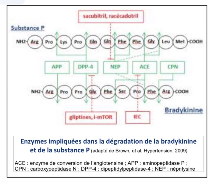 Quelles enzyme sont en jeu dans ces dégradations ? 
🔹l’enzyme de conversion pour les IEC ou les ARA II (sartans) 🔹la dipeptidylpeptidase pour les gliptines et inhibiteurs de m-Tor
🔹la néprilysine pour le sacubitril et le racécadotril 
⤵️